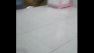 Chim anh khoe cho em ngắm