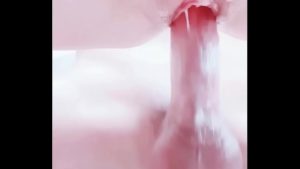 Chim hư tại lồn dâm