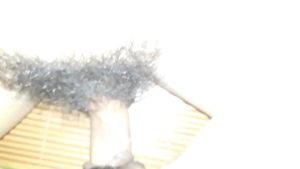 Lồn lông đút chim ra bã