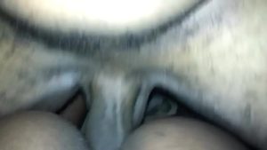 Chim dài cong dập sung sướng