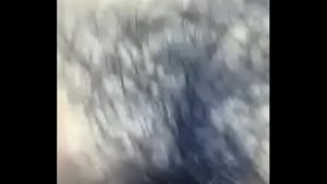 Lồn lông động nước chơi bao chất