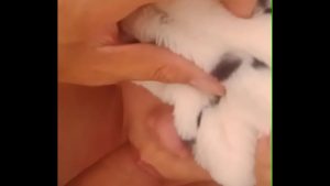 Che mắt hưởng thụ con cu dâm