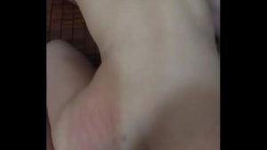 Chim dâm đầy tinh