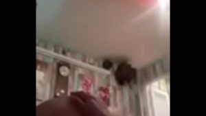 Check hàng em sinh viên bách khoa cực dâm