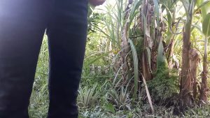 anh trai lên cơn tự quay video xóc lọ