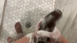 Tây dâm cu đen đang tắm mà nứng cu quá đã