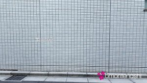 Đụ bướm em gái múp mới quen trên đường phê nứng quá đã